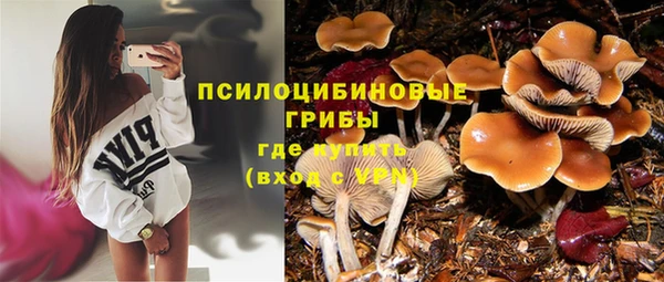 ALPHA-PVP Покров