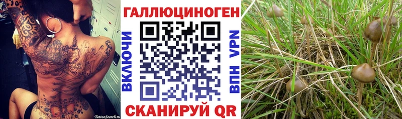 гидра ТОР наркошоп Соликамск Галлюциногенные грибы ЛСД